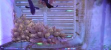 20220302_160745.jpg