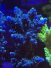 79A5C40B-2D8F-4E13-B091-080D11DF5396.jpeg
