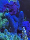 1017E59C-B9DE-49FC-A841-4DF8021E8739.jpeg