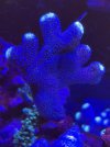 1A095CDC-2E24-4A8D-BC53-0F38D12E8DB7.jpeg