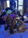 IMG_7134.jpg