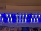 IMG_4110.jpg