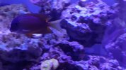 20220204_101109.jpg