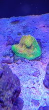 20220329_224916.jpg