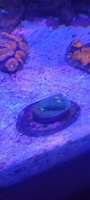 20220329_224851.jpg