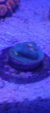 20220329_224828.jpg
