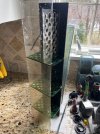 thumbnail_IMG_1133.jpg