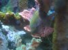 P1020602rs.jpg
