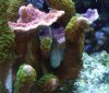 P1020605rs2.jpg