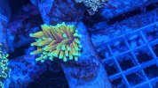 PXL_20220419_215603500.jpg