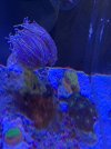 IMG_4772.jpg