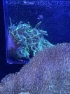 IMG_1110.jpg