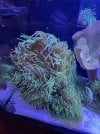 IMG_1111.jpg