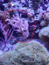 20220426_094028.jpg