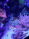20220426_094324.jpg