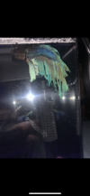 7C947F59-9F94-453D-BD14-62C5142FC03F.png