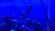 20220507_075346.jpg