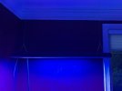 IMG_2781.jpeg