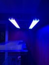 IMG_2780.jpeg