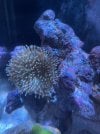 D103794E-269F-4749-B06C-F6627396F892.jpeg