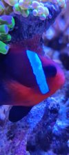 IMG_20220527_162633.jpg