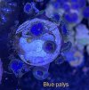 C707F85C-646A-48F9-88ED-1ACC6B5A5188.jpeg