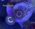 BD718122-B29A-4829-81DF-FEA94F454D34.jpeg