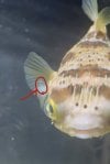 855A69AB-CC39-4590-91AD-2E36DAE36FC1.jpeg