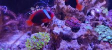 IMG_20220508_102526.jpg