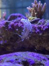 61F38D25-5142-44E5-BFE1-54BA67FADCB2.jpeg