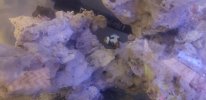 20220620_104938.jpg