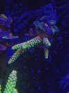 PXL_20220731_175415072-01.jpeg