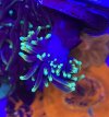E035997B-8358-4B5B-848A-C9BF4DA76D60.jpeg
