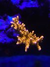 B4C391B7-30D8-4BC9-BCFF-4C72F6D599AB.jpeg