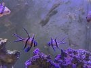 IMG_6594.jpeg