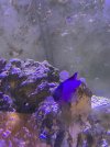 IMG_6595.jpeg