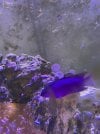 IMG_6596.jpeg