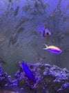 IMG_6597.jpeg