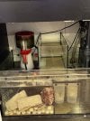 IMG_6601.jpeg