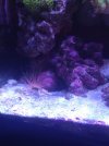IMG_20220807_195207219.jpg
