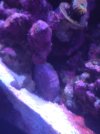 IMG_20220807_195230317.jpg