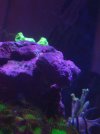 IMG_20220807_195246210.jpg