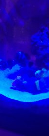 20220814_171551.jpg