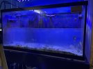 0E17513A-9CE6-4526-8E8C-BD049302AE85.jpeg