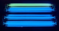 EE0D021C-B90D-4BE0-A722-C9EFA34885B9.jpeg