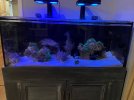 fish tank1.jpg