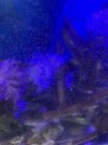 A7805EB0-612A-477E-A57F-2A1F9B208EA5.jpeg