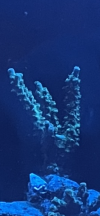 C3D35AB1-EBE1-4777-BBC9-28FC17DCB9F6.png