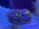 HolyGrail-P1-090222.jpg