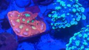 PXL_20220903_130924514.jpg